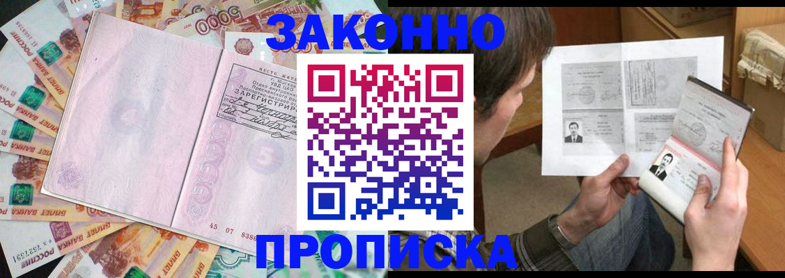 прописка для школы в Светлограде